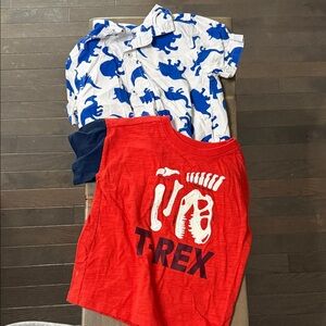 Dinosaur Print Shirt and T-Rex Tee Set
